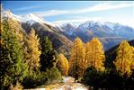 Autumn day at the Swiss National Park in Zernez